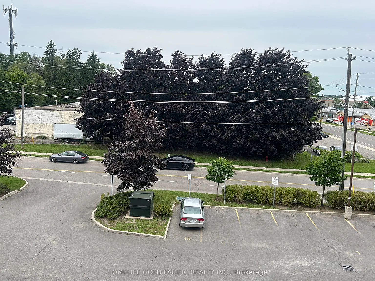 2 bed, $2,390 — Photo 4