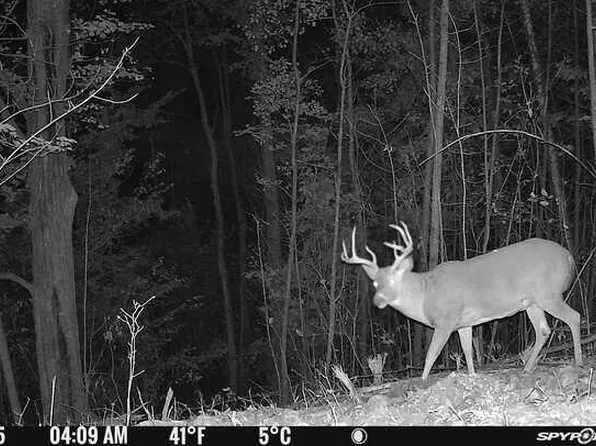 /150th Ave, Leroy, MI 49655