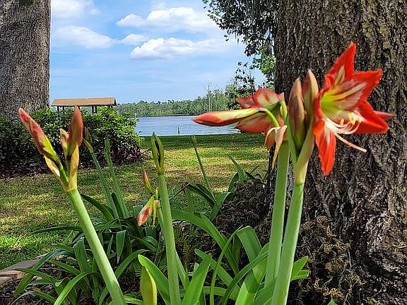 A great view of Doctors Lake