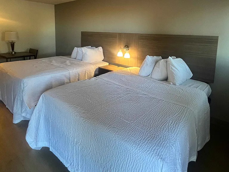 Studio Suite - 2 Queen Beds