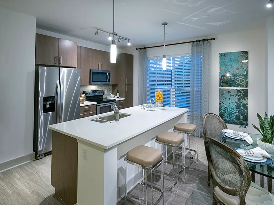 Apartment Kitchen