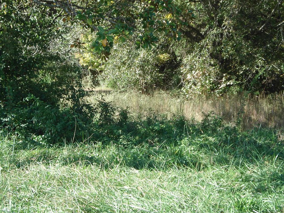 2nd image of 5728 Reidville Rd