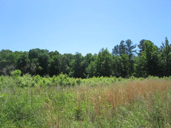 1630 Beech Bluff Rd, Beech Bluff, TN 38313