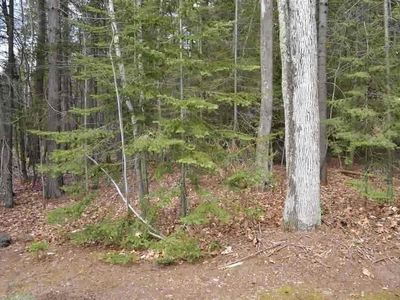 14 & 15 Ottawa Trl Lot 14&15, Kewadin, MI, 49648