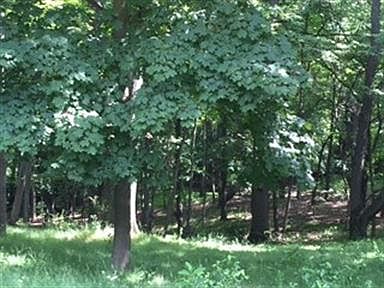 5th image of 771 Harmony Hills Pkwy Lot 12