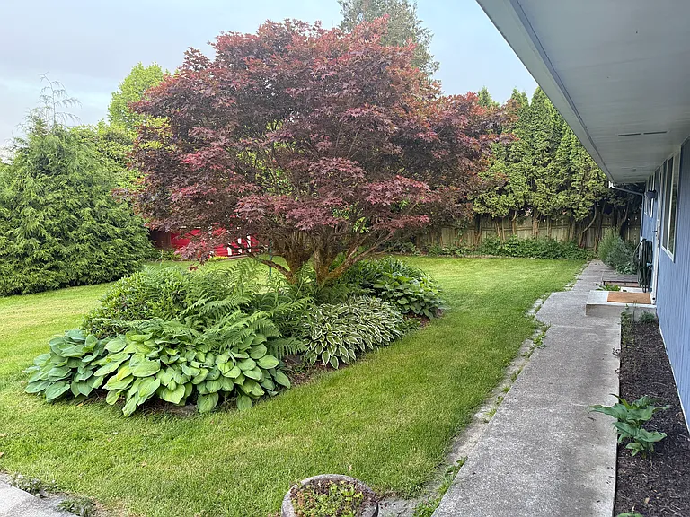 10831 35th Ave SE — Photo 24