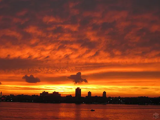 Sold by Halstead Real Estate | media 29