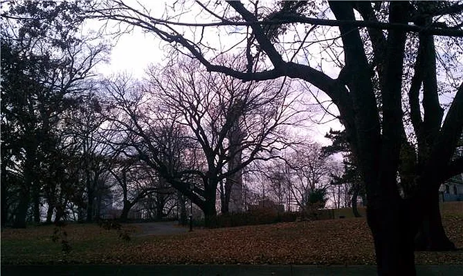 Rented by Kian Realty | media 15