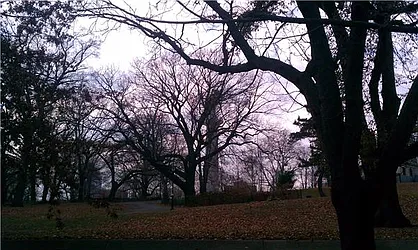 Rented by Kian Realty