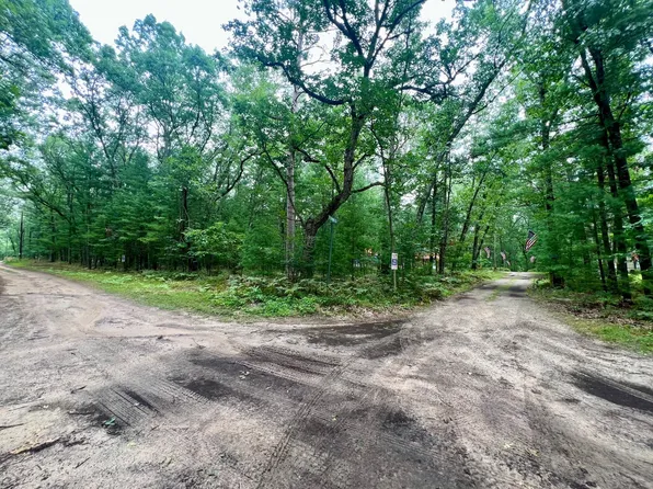 W Fernwood Ave, Baldwin, MI 49304