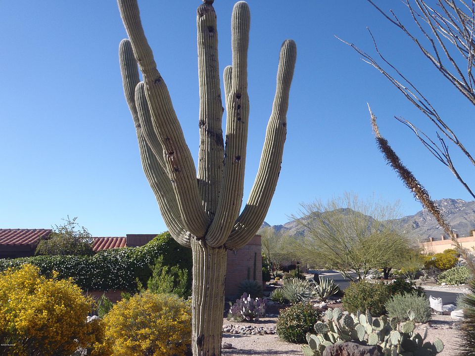 1st image of 4525 N Arroyo Vacio