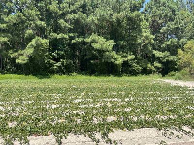 2 Brock Rd Lot 2, Dunn, NC, 28334
