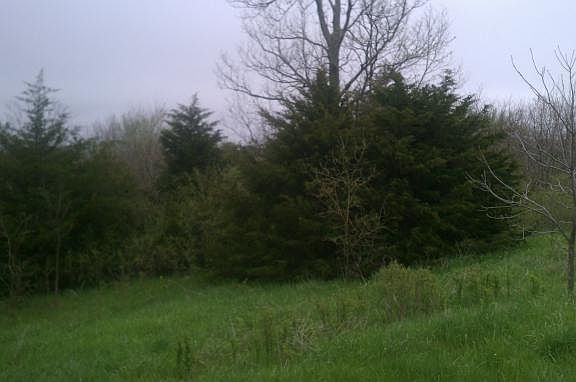 3rd image of LOT 16 W 274th Ter
