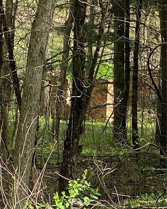 31335 McKaig Rd, Hanoverton, OH 44423 Zillow