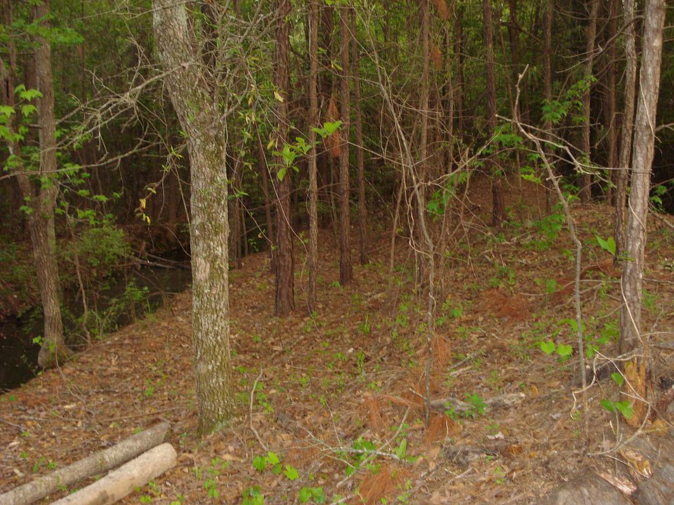 2nd image of 1670 Willow Point Rd