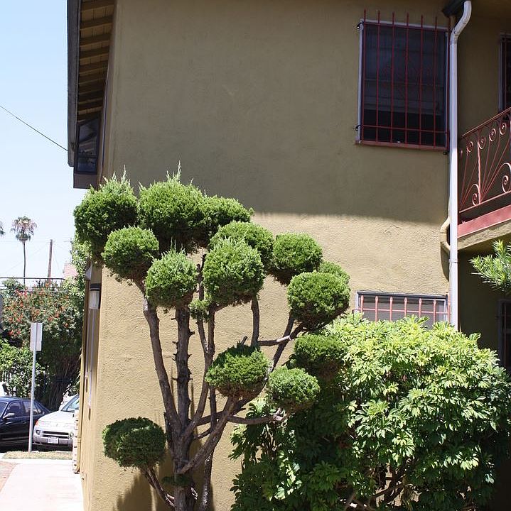 1st image of 1720 E 2nd St APT 6