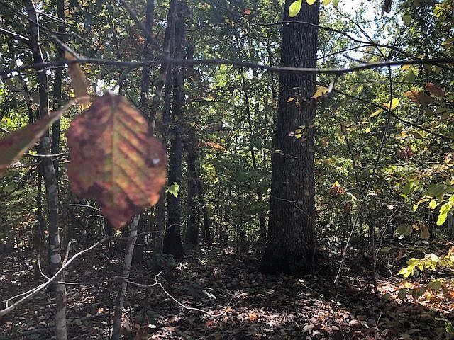 1st image of 200 Osage Ln Lot 11