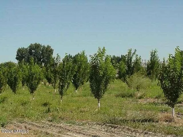 Kna N Outlook Rd, Outlook, WA 98938