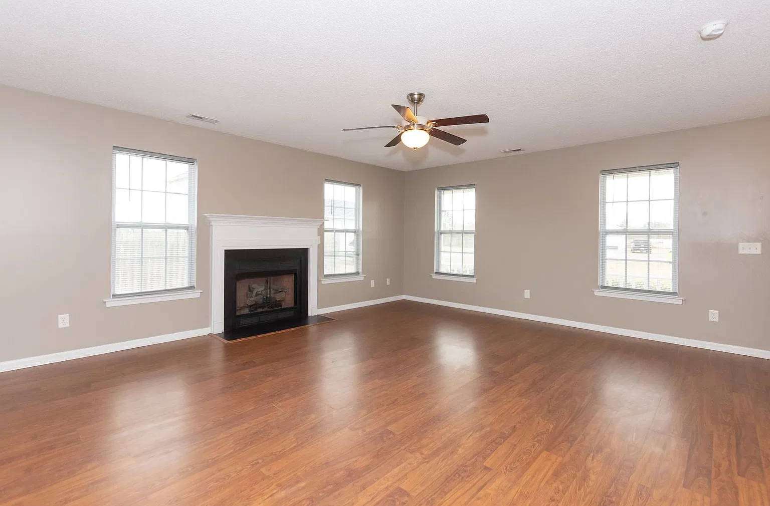 Move-In Ready — Photo 4