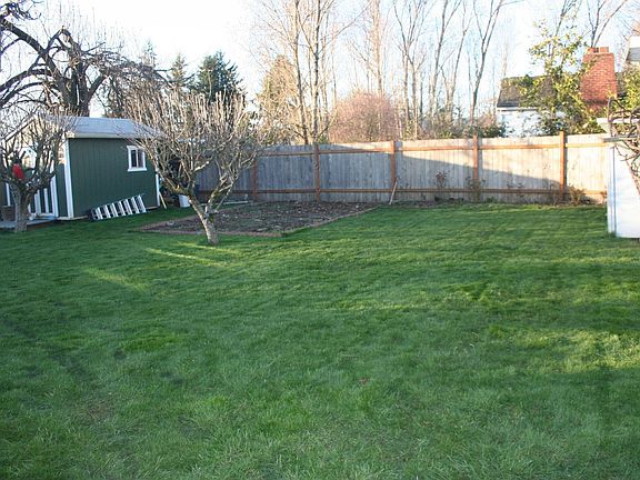 Huge back yard with shed, 2 apple trees, a pear tree, and a grape vine.
