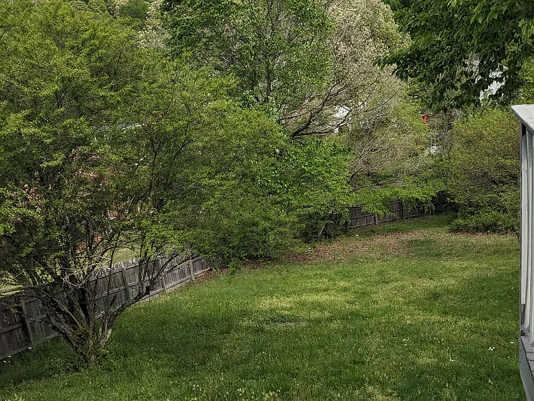 5044 Mimosa Trl — Photo 20