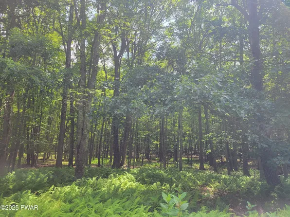 19 Fern Dr, Hawley, PA 18428