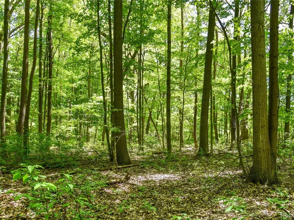 2905 N Lake Pleasant Rd, Attica, MI 48412