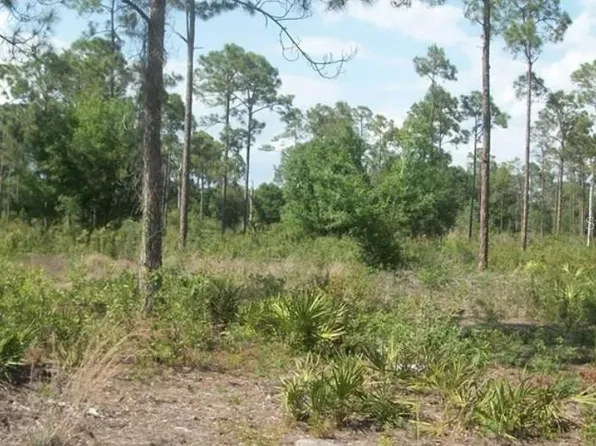 1055 UNION AVENUE LOT 7, CLEWISTON, FL 33440