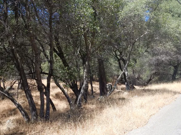Iron Mine Rd, Auburn, CA 95602