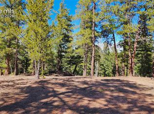 178 Gerka Ln, Florissant, CO 80816