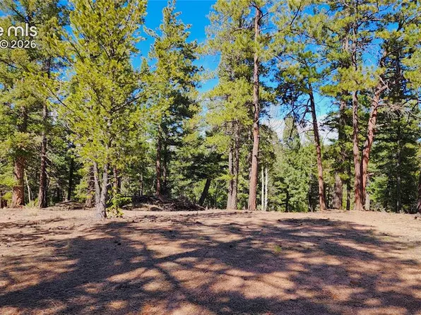 178 Gerka Ln, Florissant, CO 80816