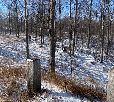 Lot View  from Lower Pond Rd