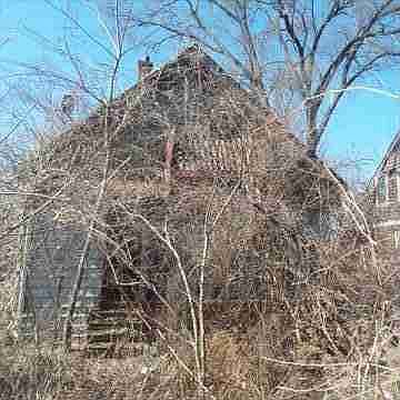 14526 Freeland