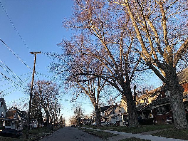 2nd image of 35 Wesley Ave