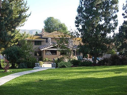 Backyard View