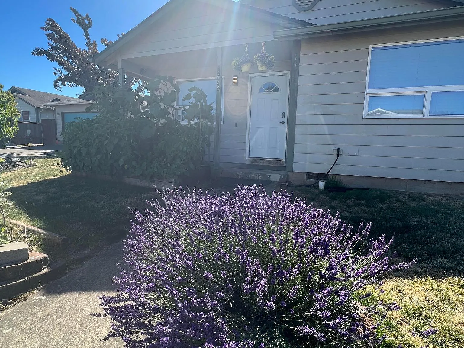 3 bed, 1245 sqft, $2,100 — Photo 1