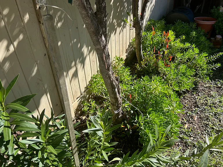 131 Clover Springs Dr — Photo 15
