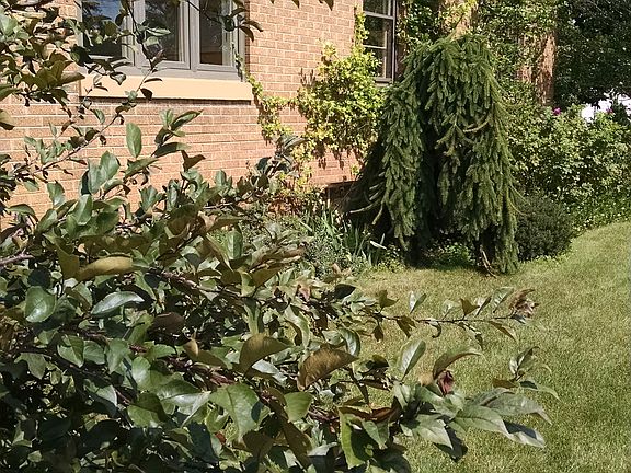4th image of this home