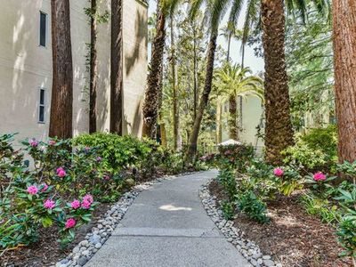 1246 Walker Ave APT 309, Walnut Creek, CA, 94596