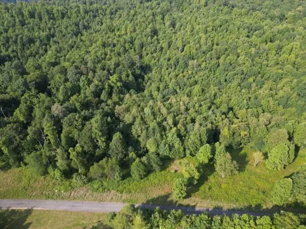 5 River Ridge Ln, Mount Nebo, WV 26679