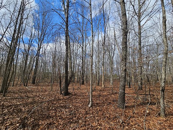 4th image of 10 Griswold Rd