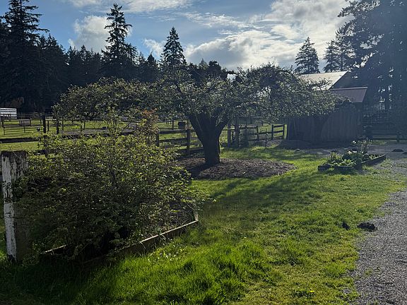 Fruit trees, grape arbor, and planting beds