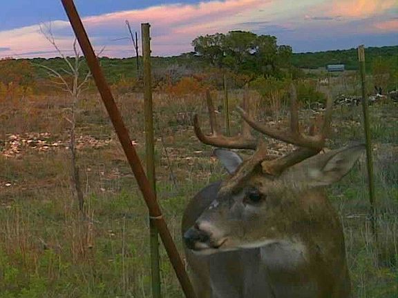 4th image of 3402 County Road 196