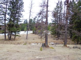 0 Bunch Rd, Wauconda, WA 98859