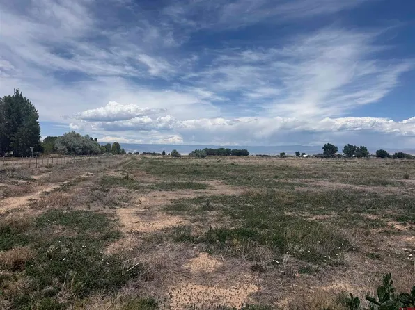 Lot 1 Flintlock Lane, Olathe, CO 81425