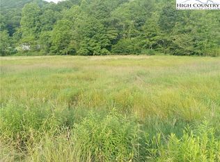 3323 Rugby Rd, Mouth Of Wilson, VA 24363