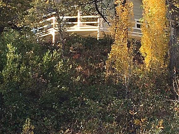 5th image of 17102 Natures Way
