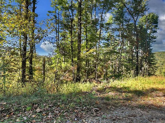 4th image of LOT 123 Bell Camp Rdg