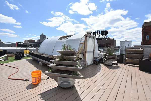 Rented by Clove Realty LLC | media 42