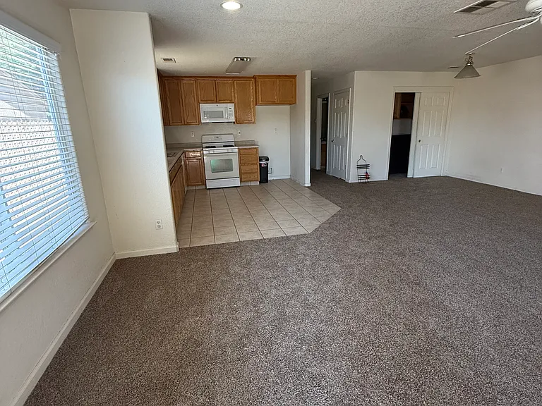 4908 Perez St — Photo 22
